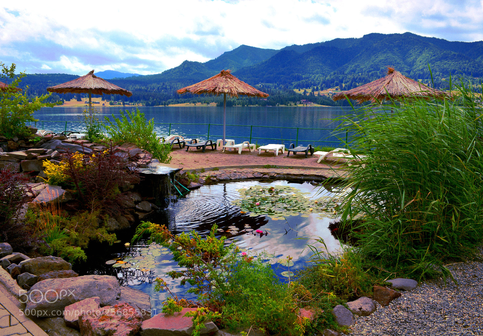 Nikon D5200 sample photo. Relaxation photography