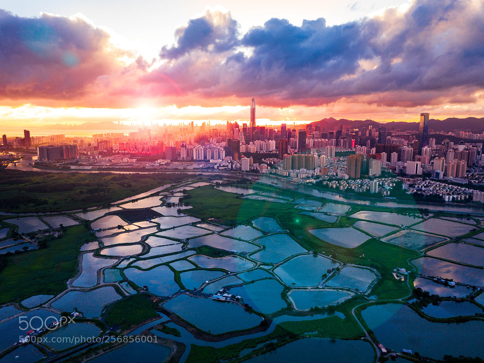 DJI FC220 sample photo. Shenzhen & hong kong photography