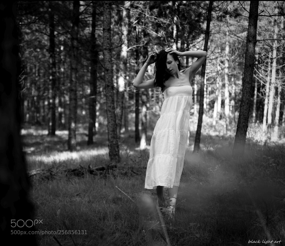 Pentax K-1 sample photo. Dancing in the wood photography