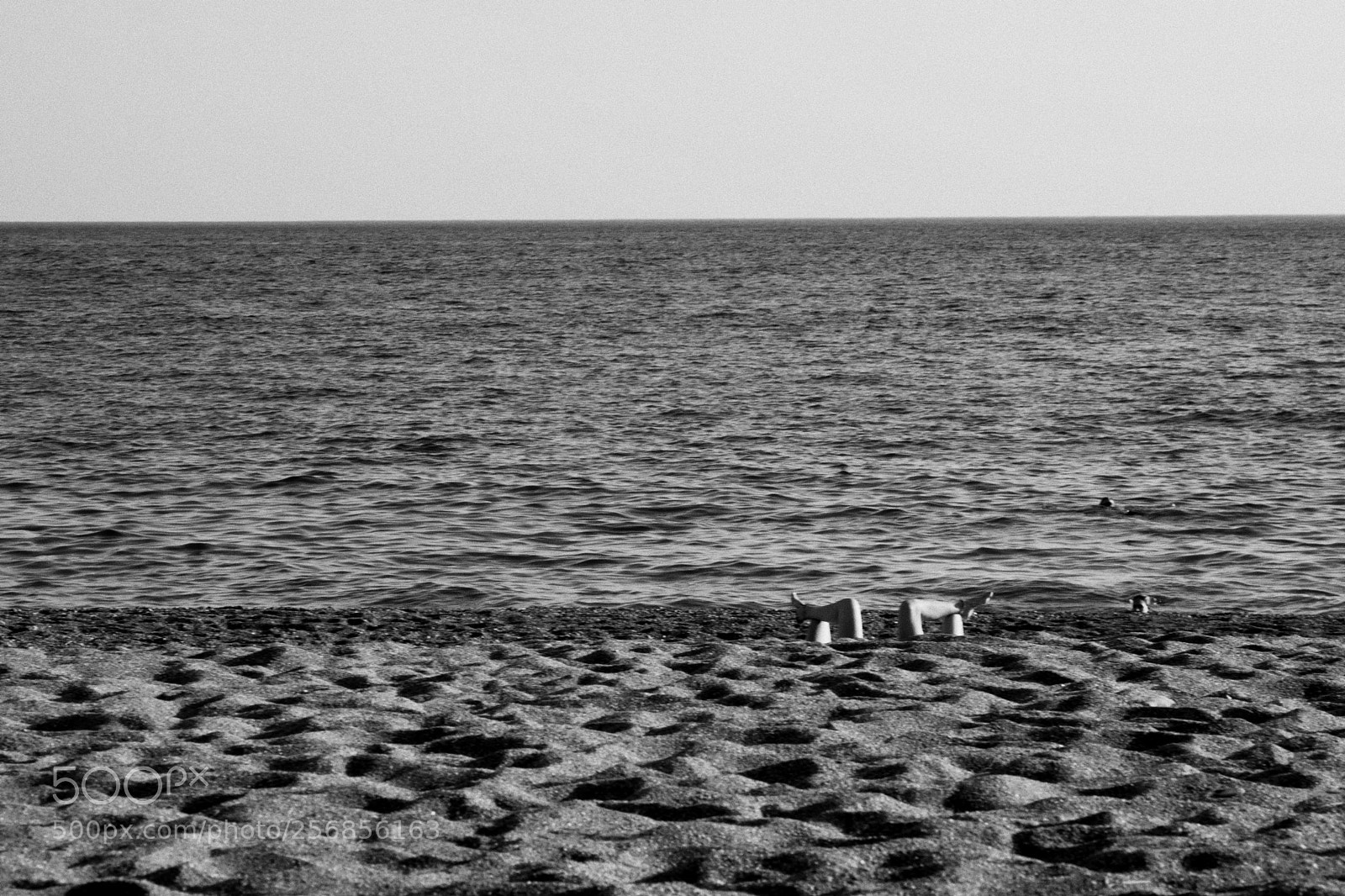 Sony a7S sample photo. Selective legs photography