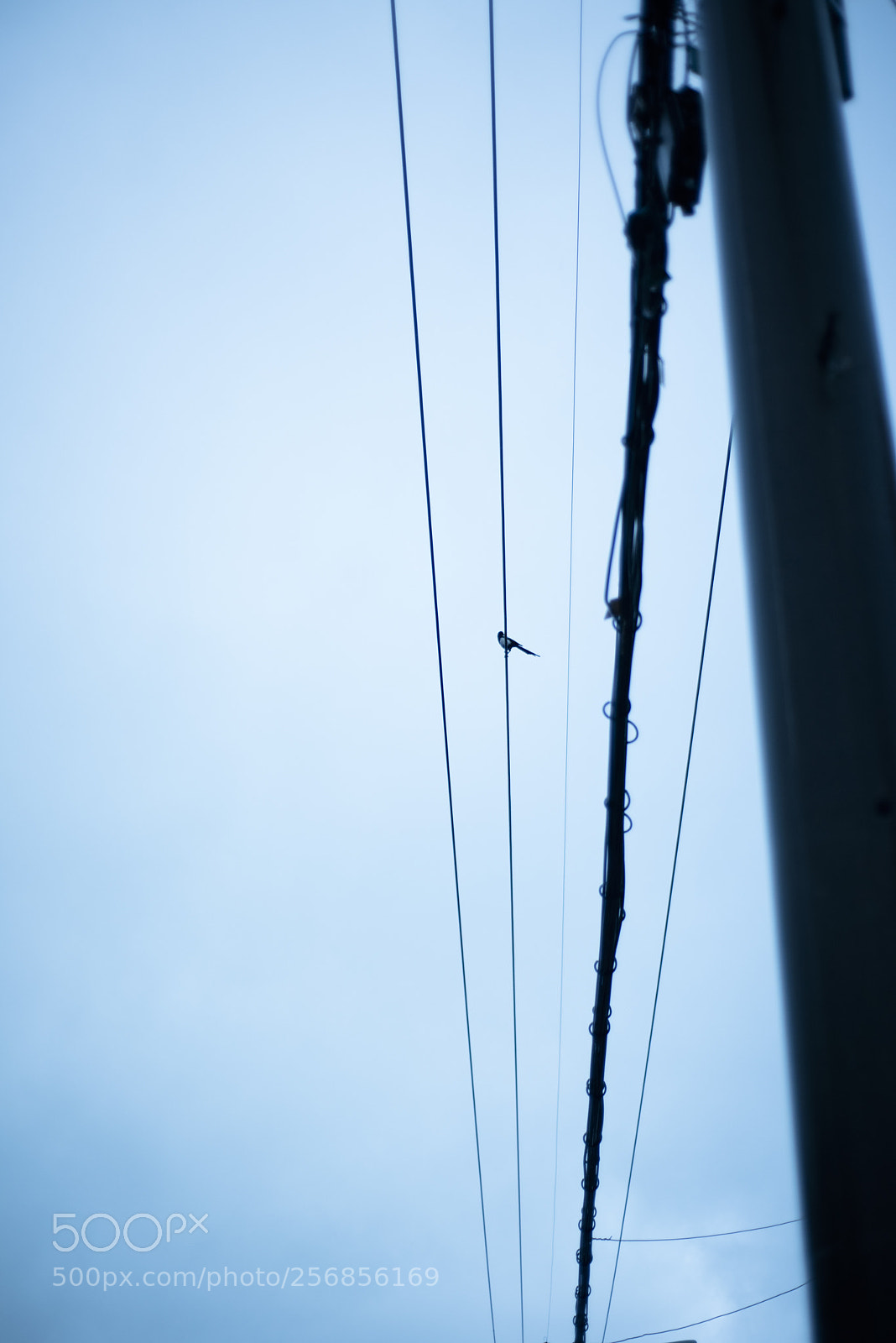 Nikon D810 sample photo. In a town   no.18 photography