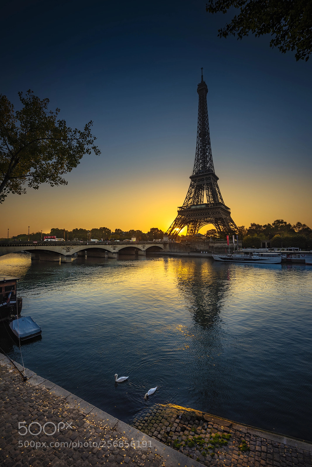 Nikon D810 sample photo. Eiffel tower sunrise photography