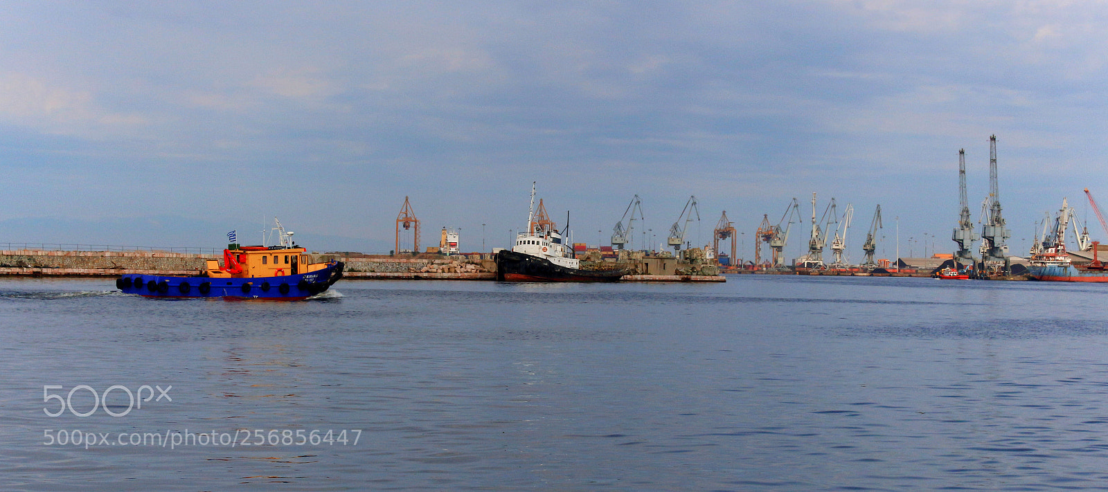 Canon EOS 700D (EOS Rebel T5i / EOS Kiss X7i) sample photo. The meeting! photography