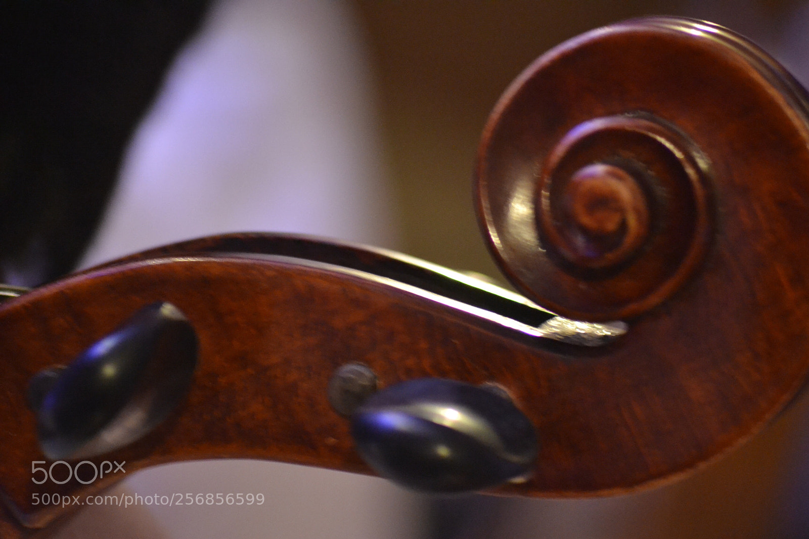Nikon D3100 sample photo. Untitled photography