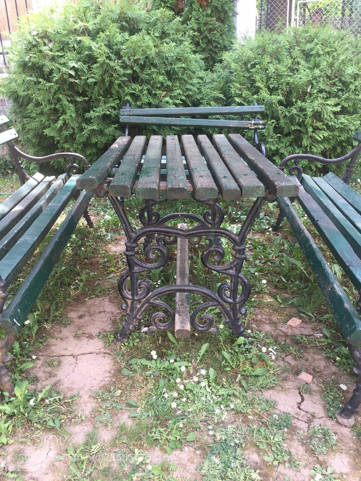 Apple iPhone 6 sample photo. Sit on it photography