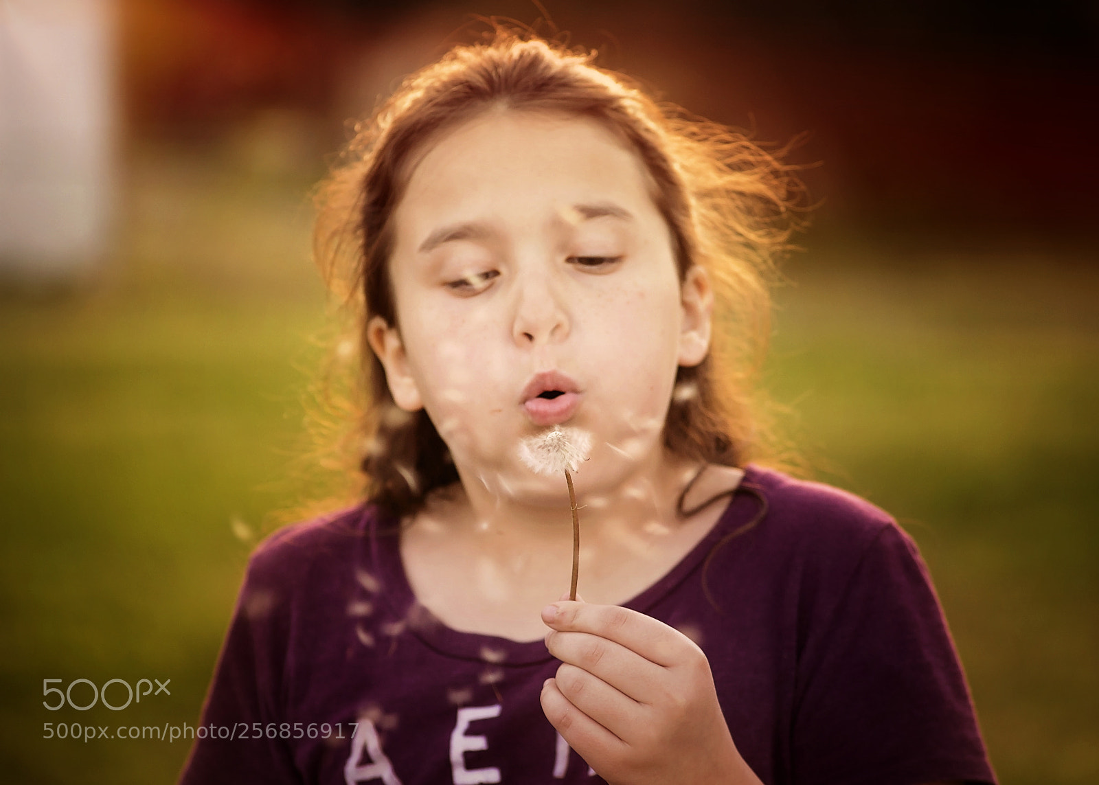 Canon EOS 6D sample photo. Wishes photography