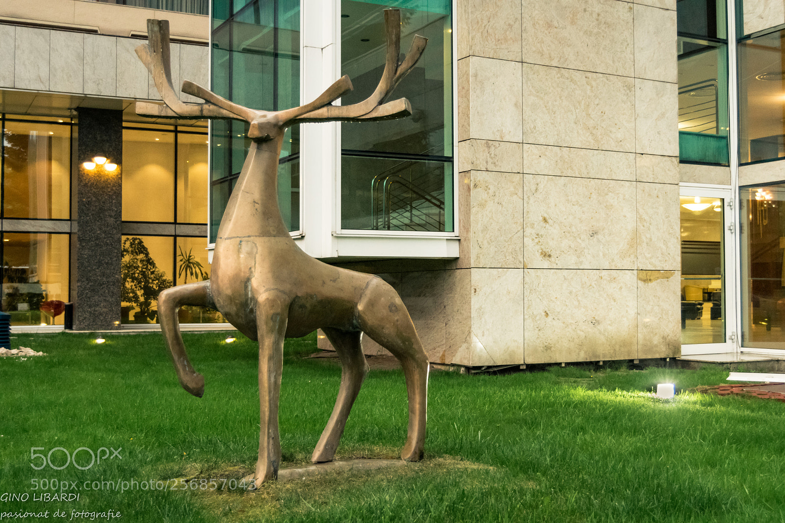 Nikon D3300 sample photo. Dsc photography