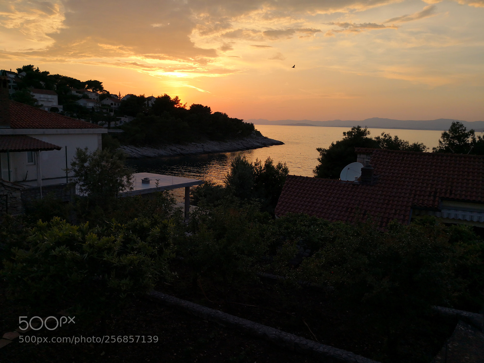 HUAWEI Mate 10 Pro sample photo. Postira photography