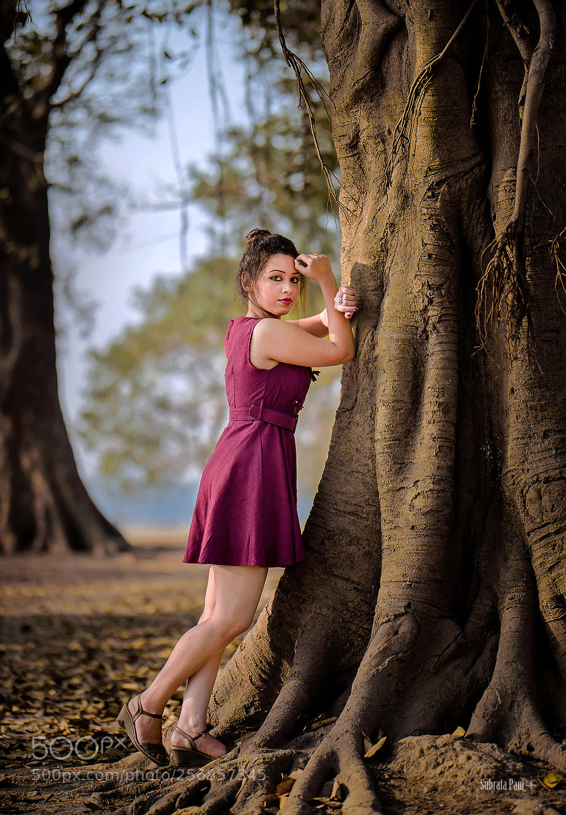 Nikon D750 sample photo. The woman and the photography