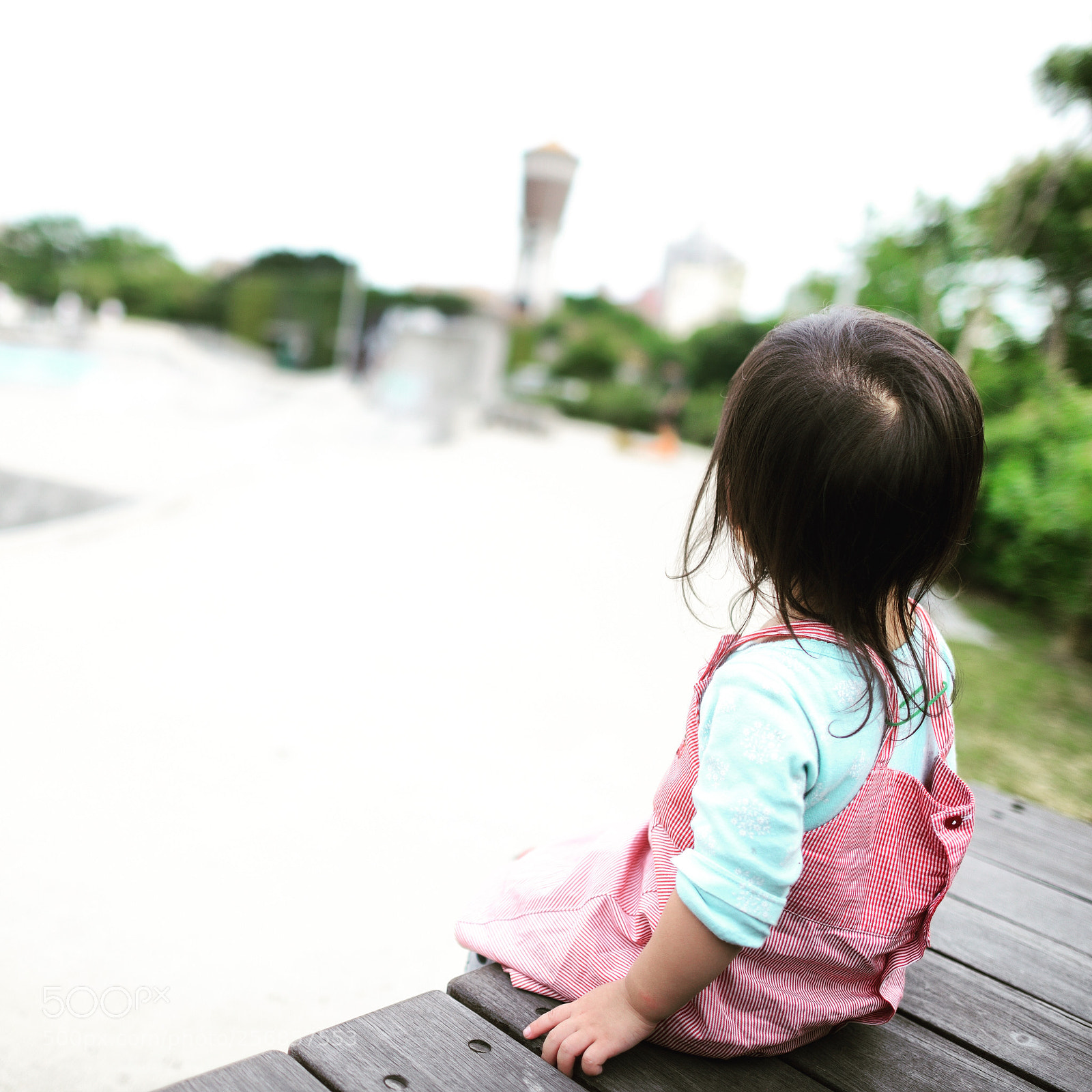 Nikon D800 sample photo. Untitled photography