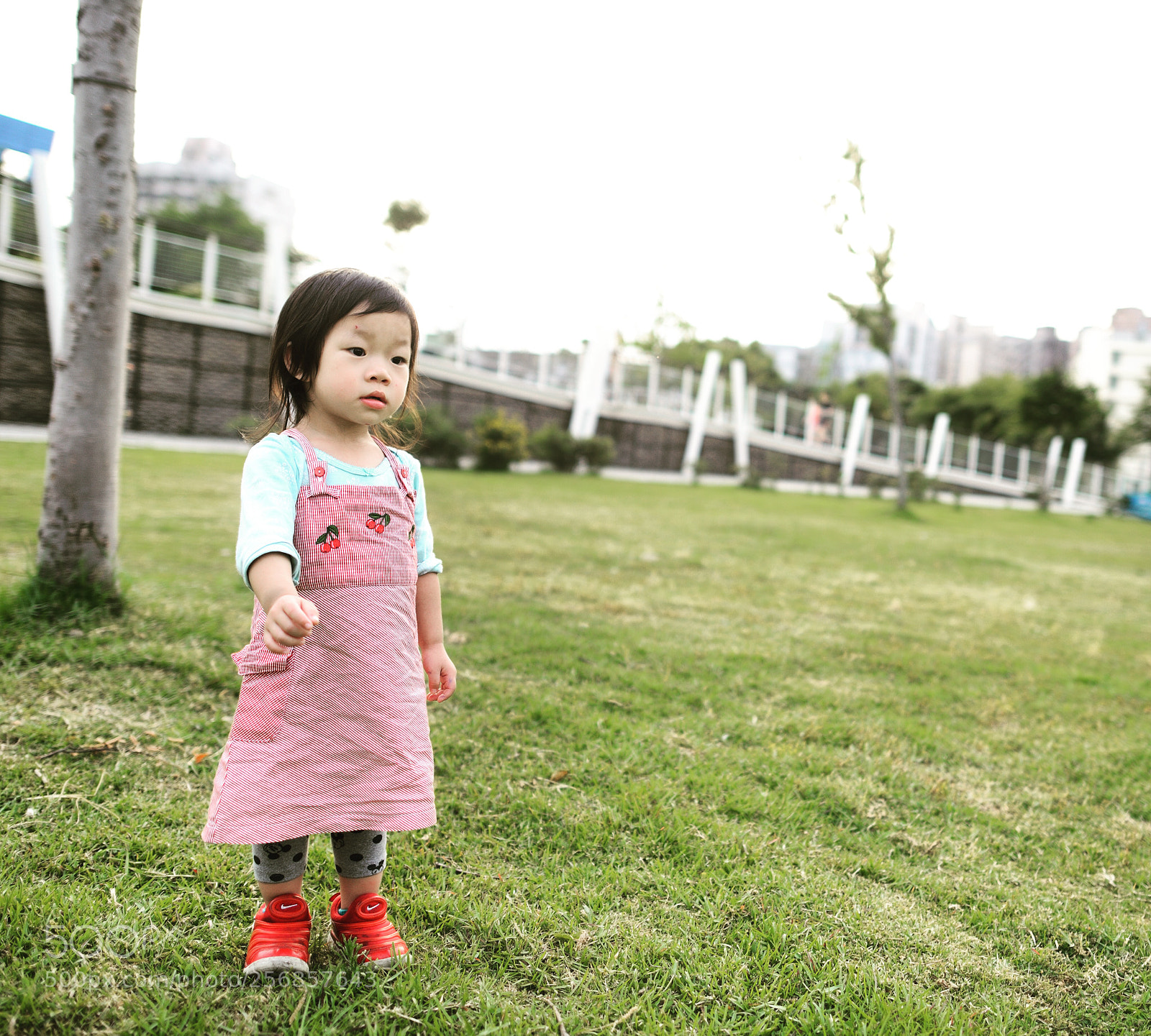 Nikon D800 sample photo. Untitled photography