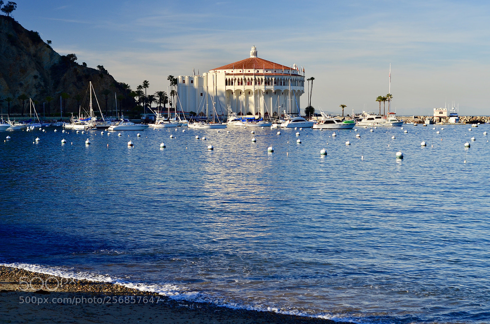 Nikon D5100 sample photo. Catalina casino photography