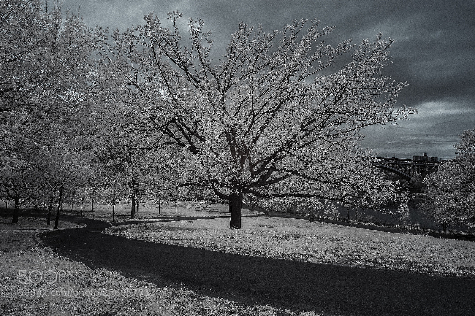 Nikon D700 sample photo. Untitled photography