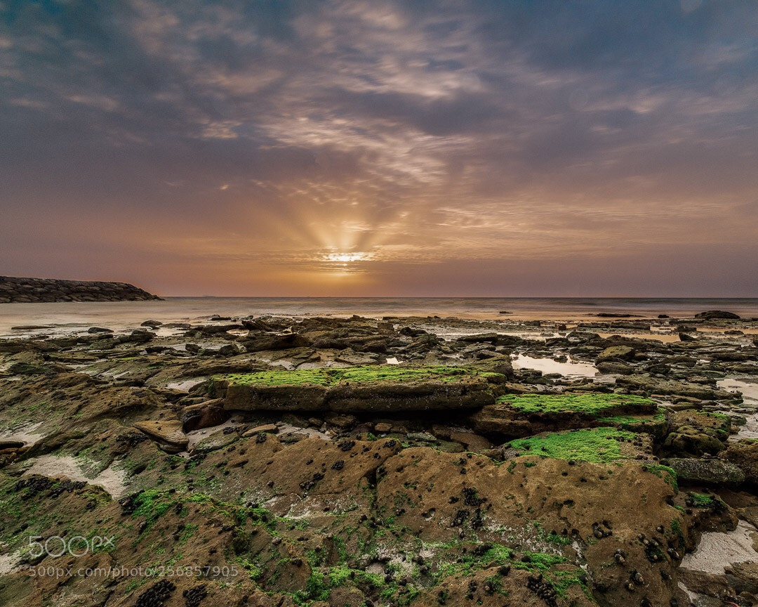 Nikon D850 sample photo. Umm al quwain  photography