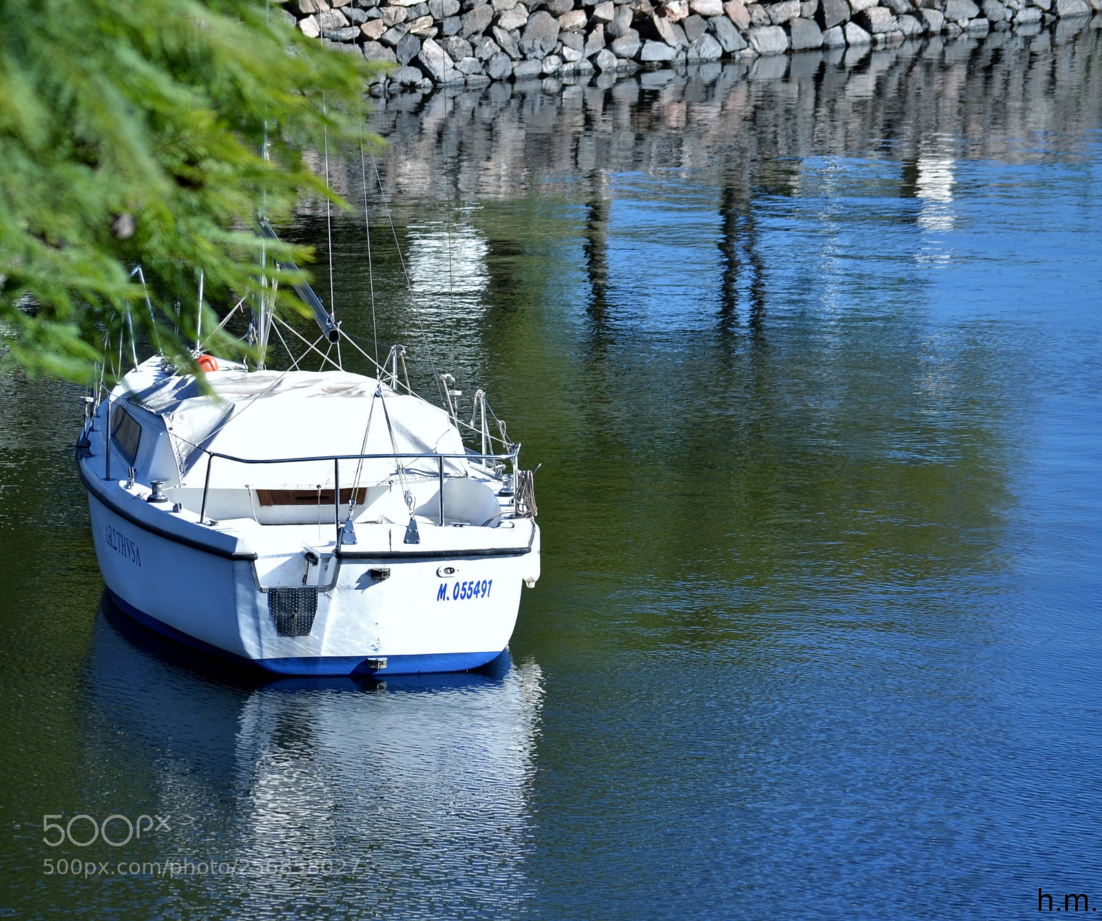 Nikon D3100 sample photo. Bceef o photography