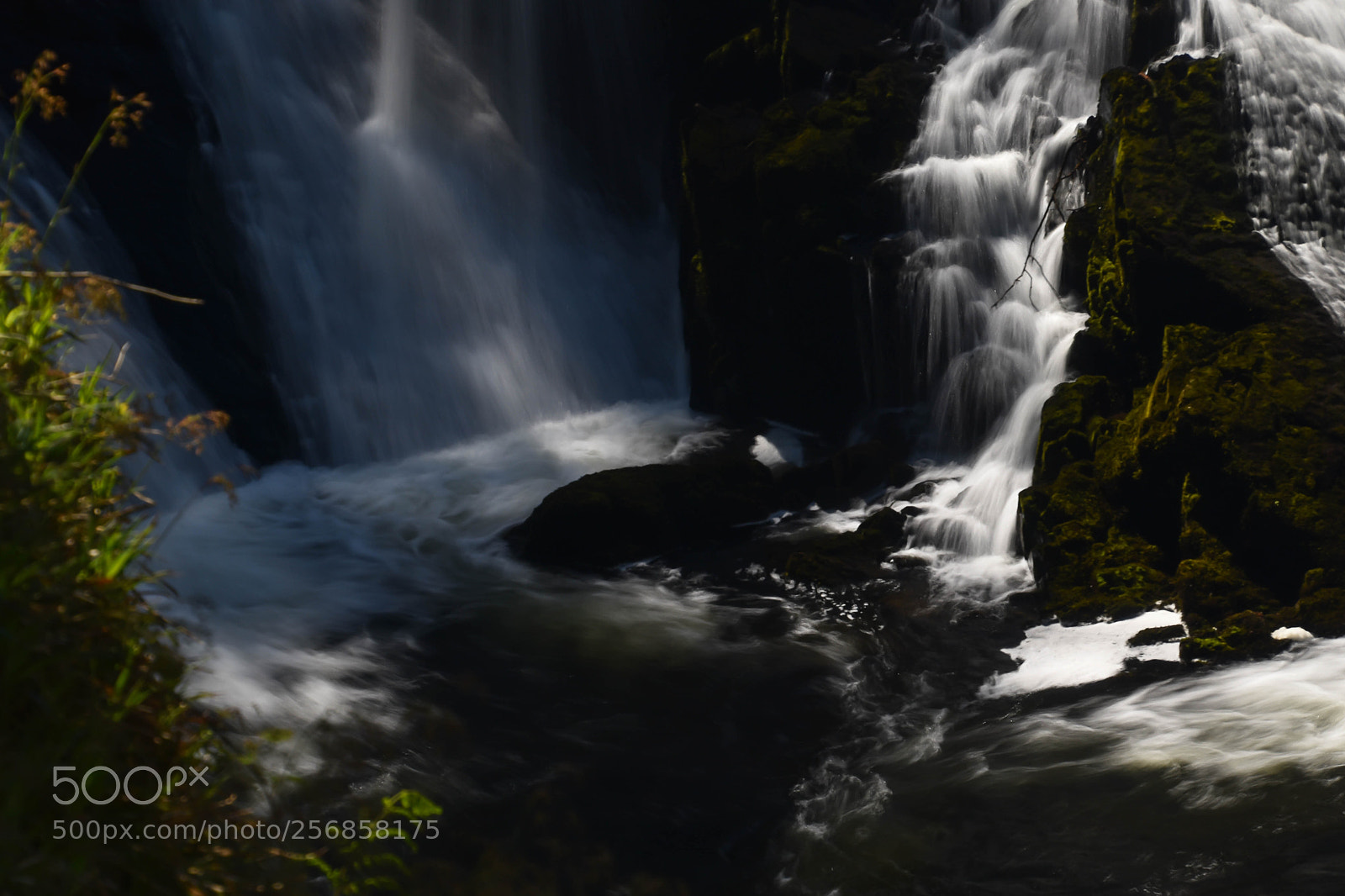 Nikon D5500 sample photo. Snowdonia photography