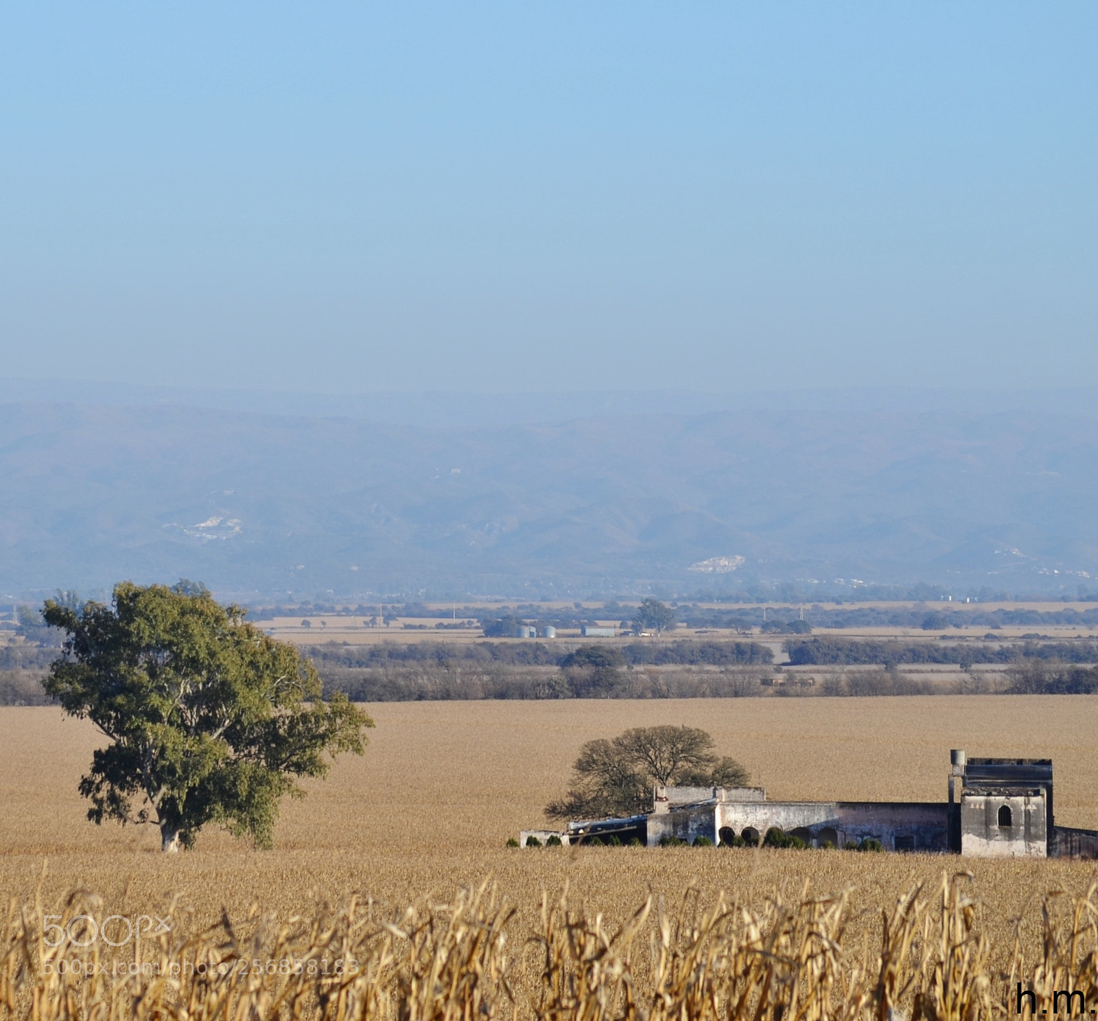 Nikon D3100 sample photo. Ao photography