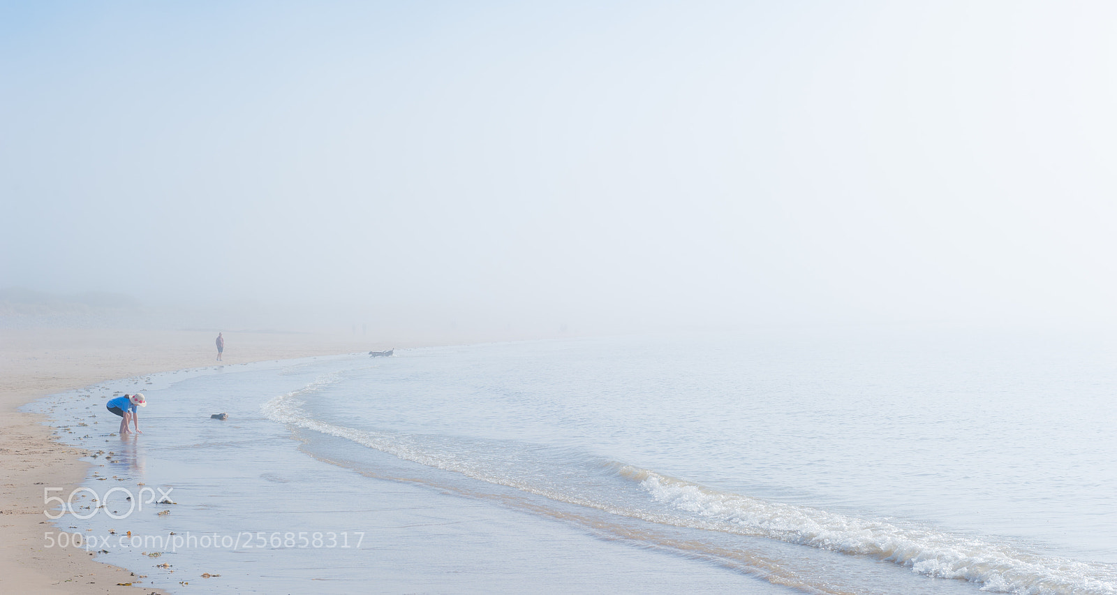Nikon D700 sample photo. Morning mist photography