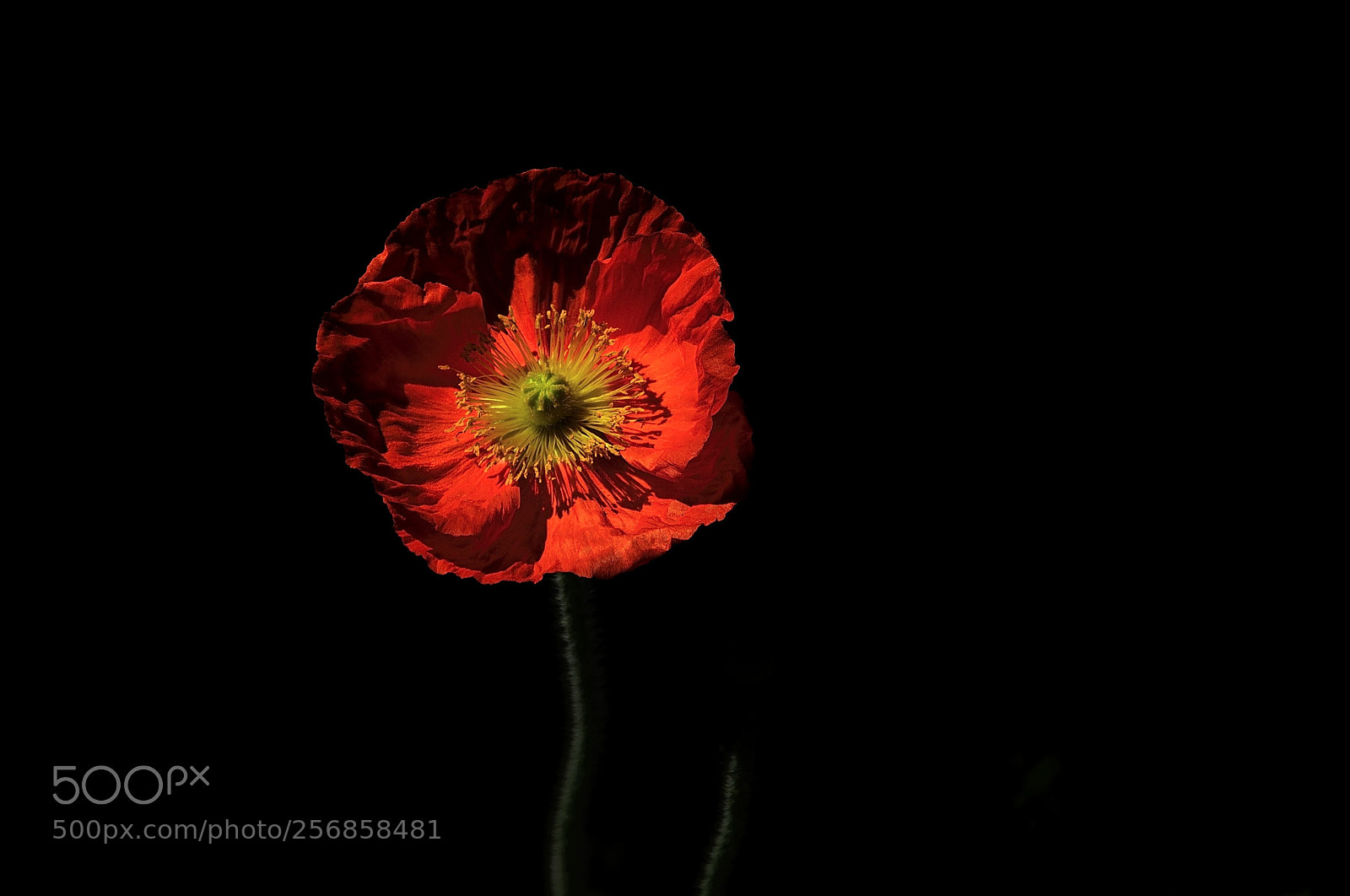 Nikon D90 sample photo. Red sky photography