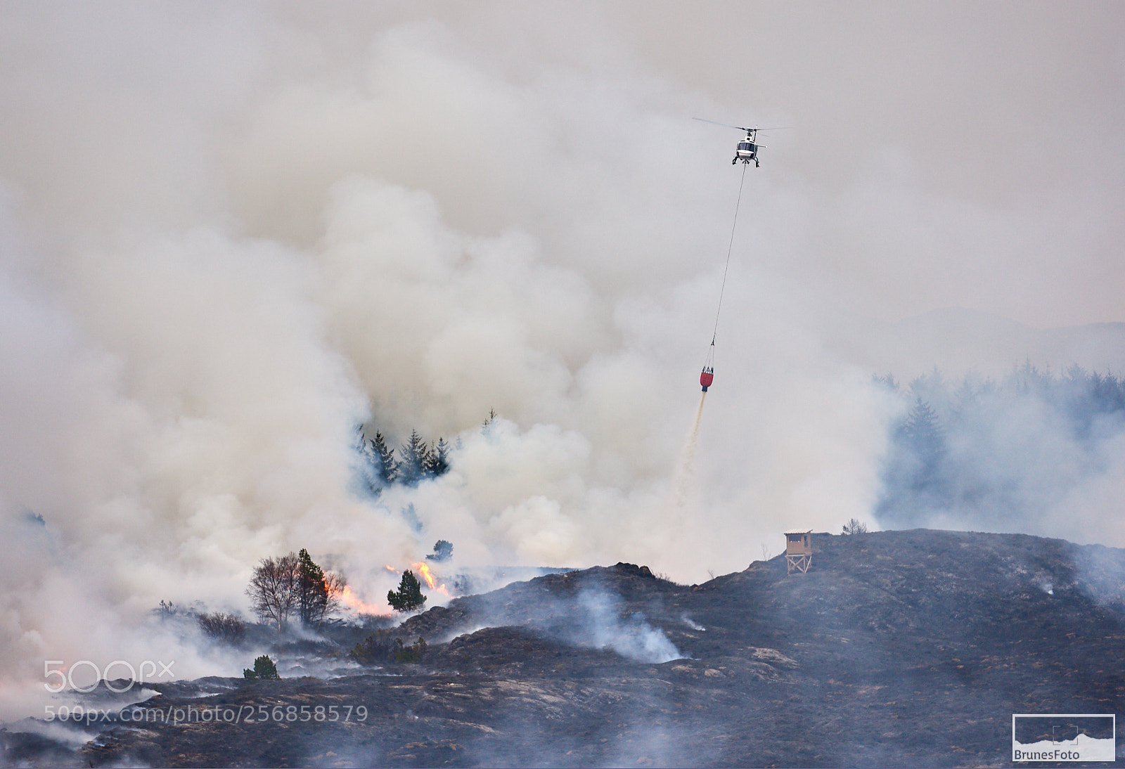Nikon D810 sample photo. Fire photography