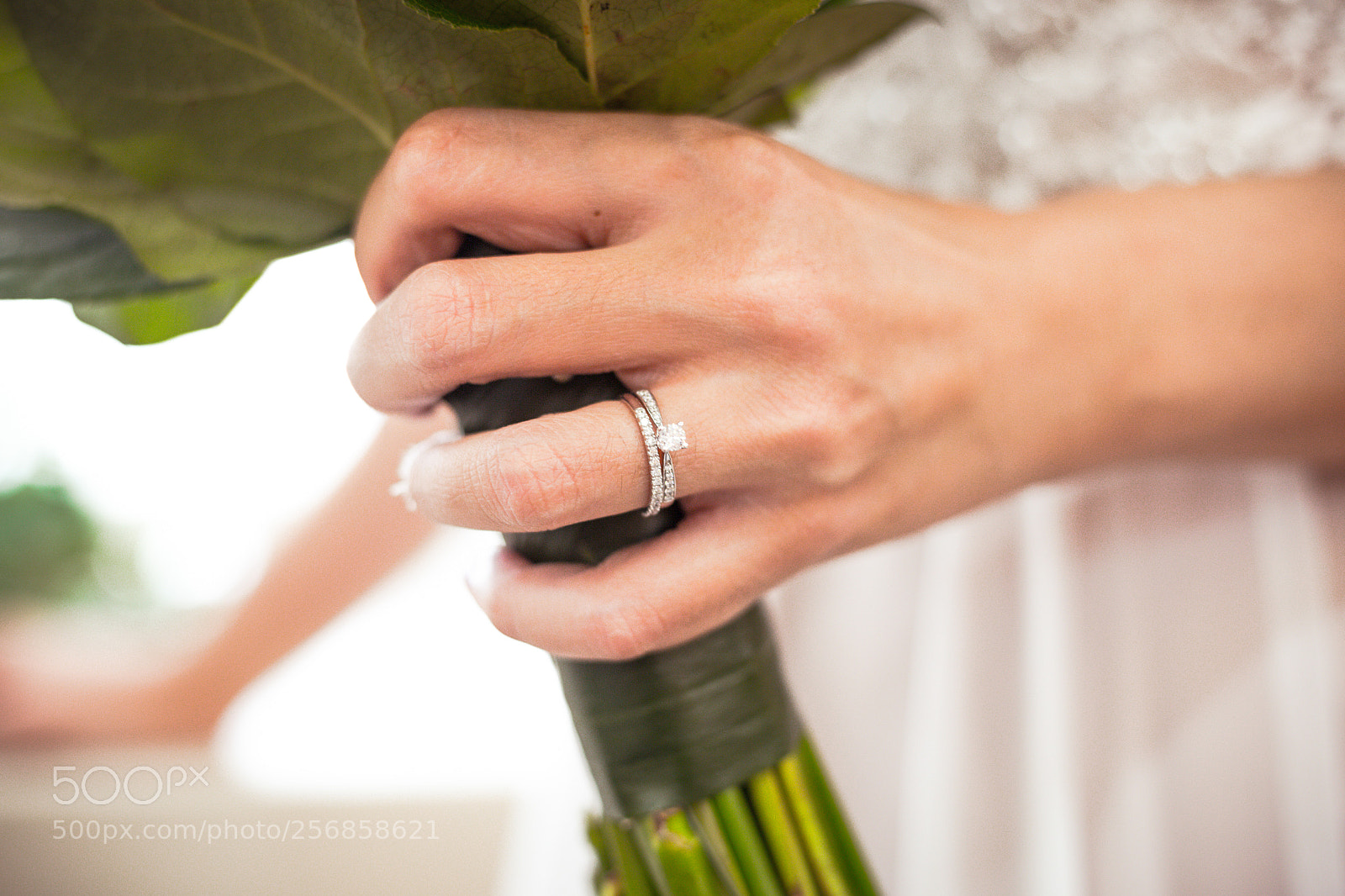 Canon EOS 6D sample photo. Ring photography
