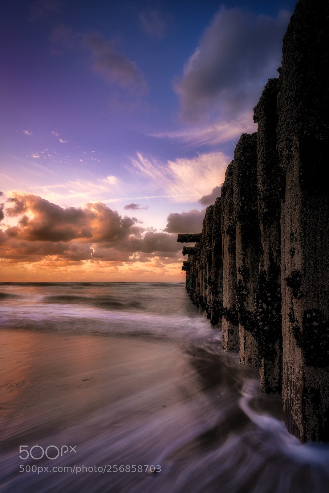 Nikon D810 sample photo. Domburg sunset photography