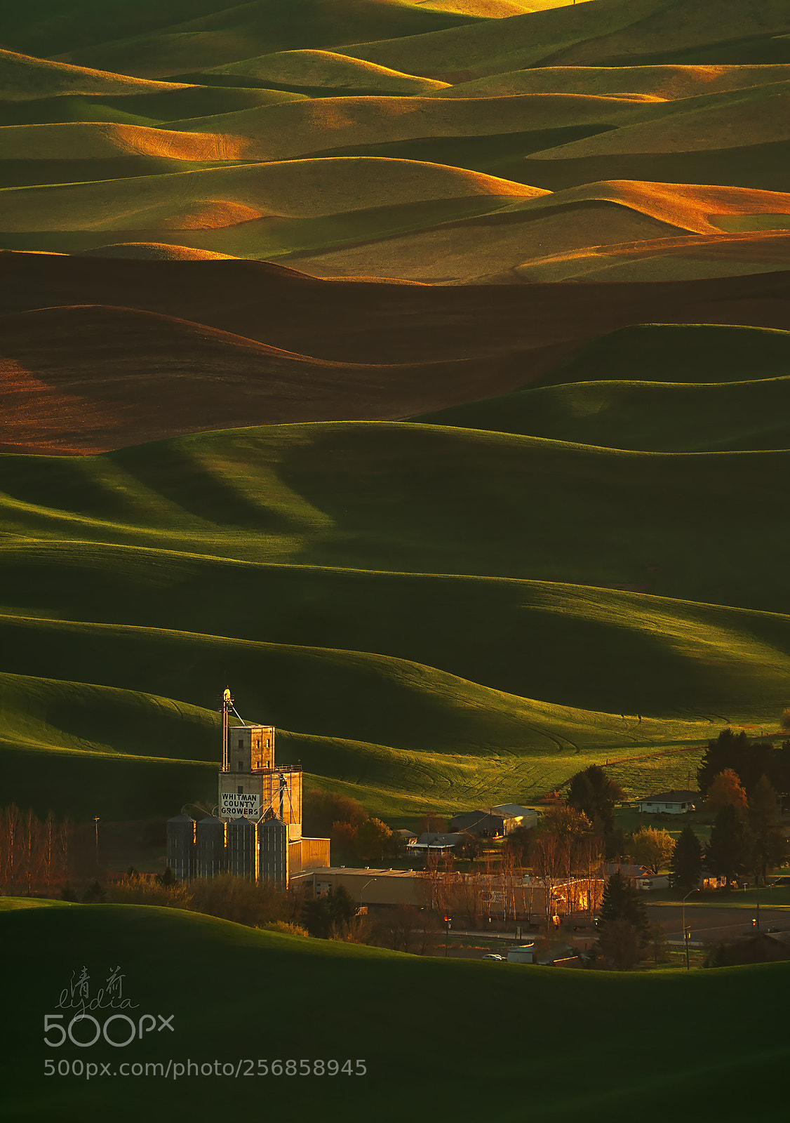 Sony a9 sample photo. Palouse rolling hills photography