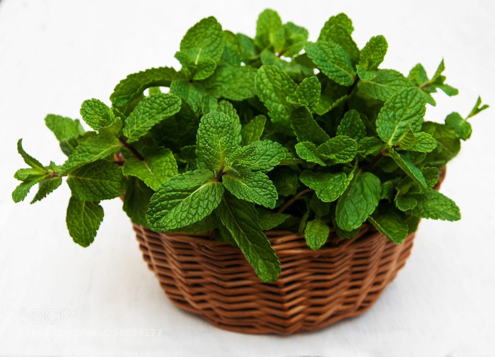 Nikon D90 sample photo. Mint in a basket photography