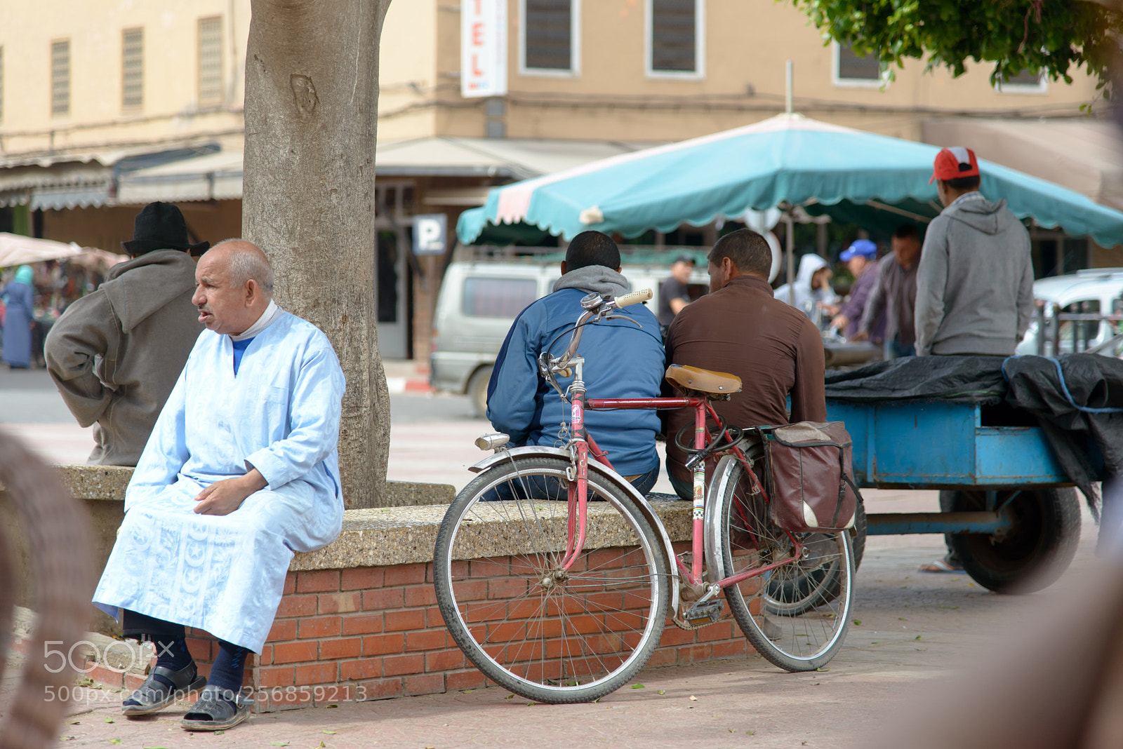 Nikon D800 sample photo. The public area photography