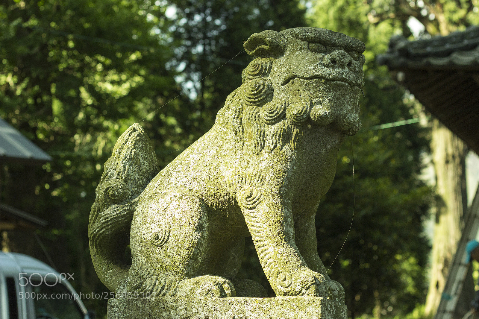 Canon EOS 600D (Rebel EOS T3i / EOS Kiss X5) sample photo. 狛犬 吽 komainu un photography