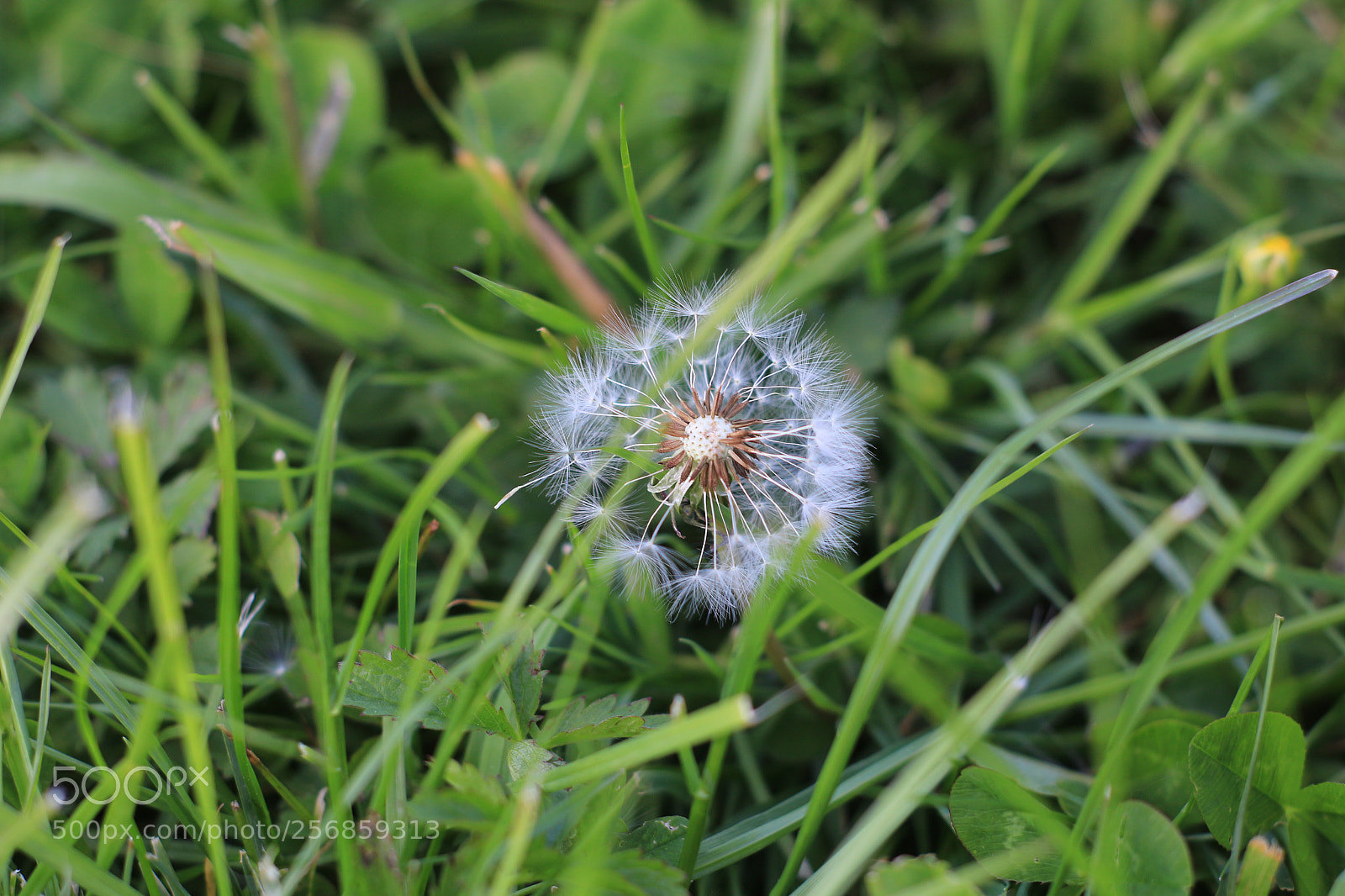 Canon EOS 100D (EOS Rebel SL1 / EOS Kiss X7) sample photo. Exploration urbaine 2018 canonfrance photography