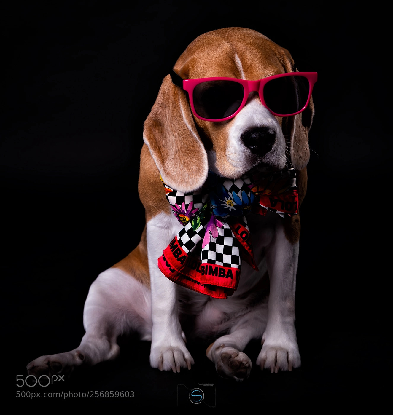Nikon D610 sample photo. Suri photography