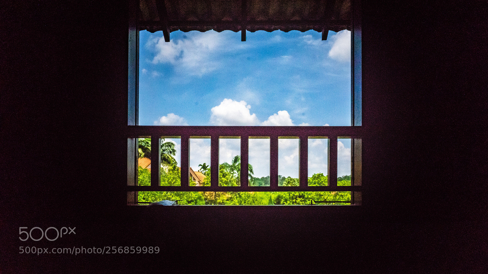 Sony a6000 sample photo. Window to the world photography