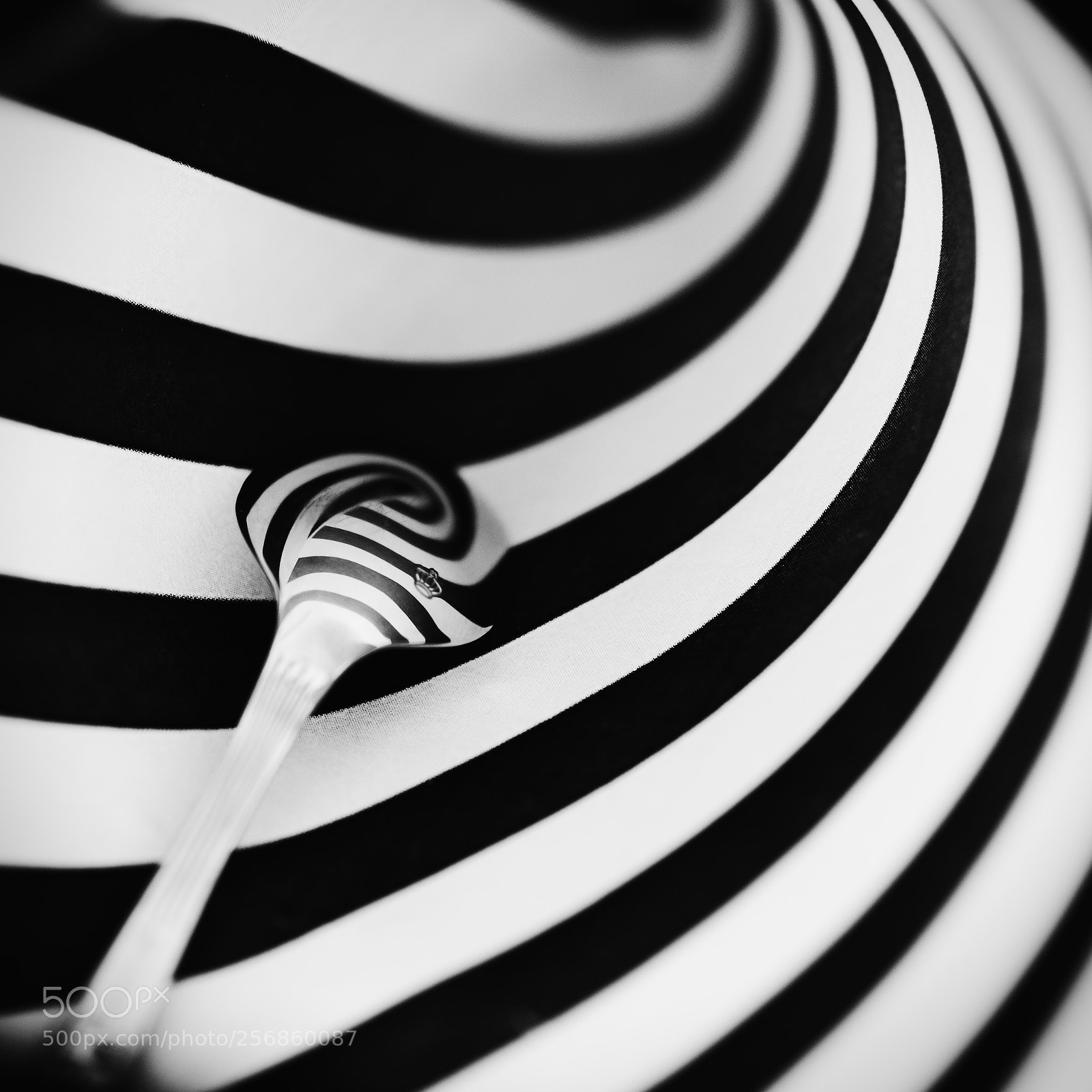 Nikon D600 sample photo. Stripes and spoon photography