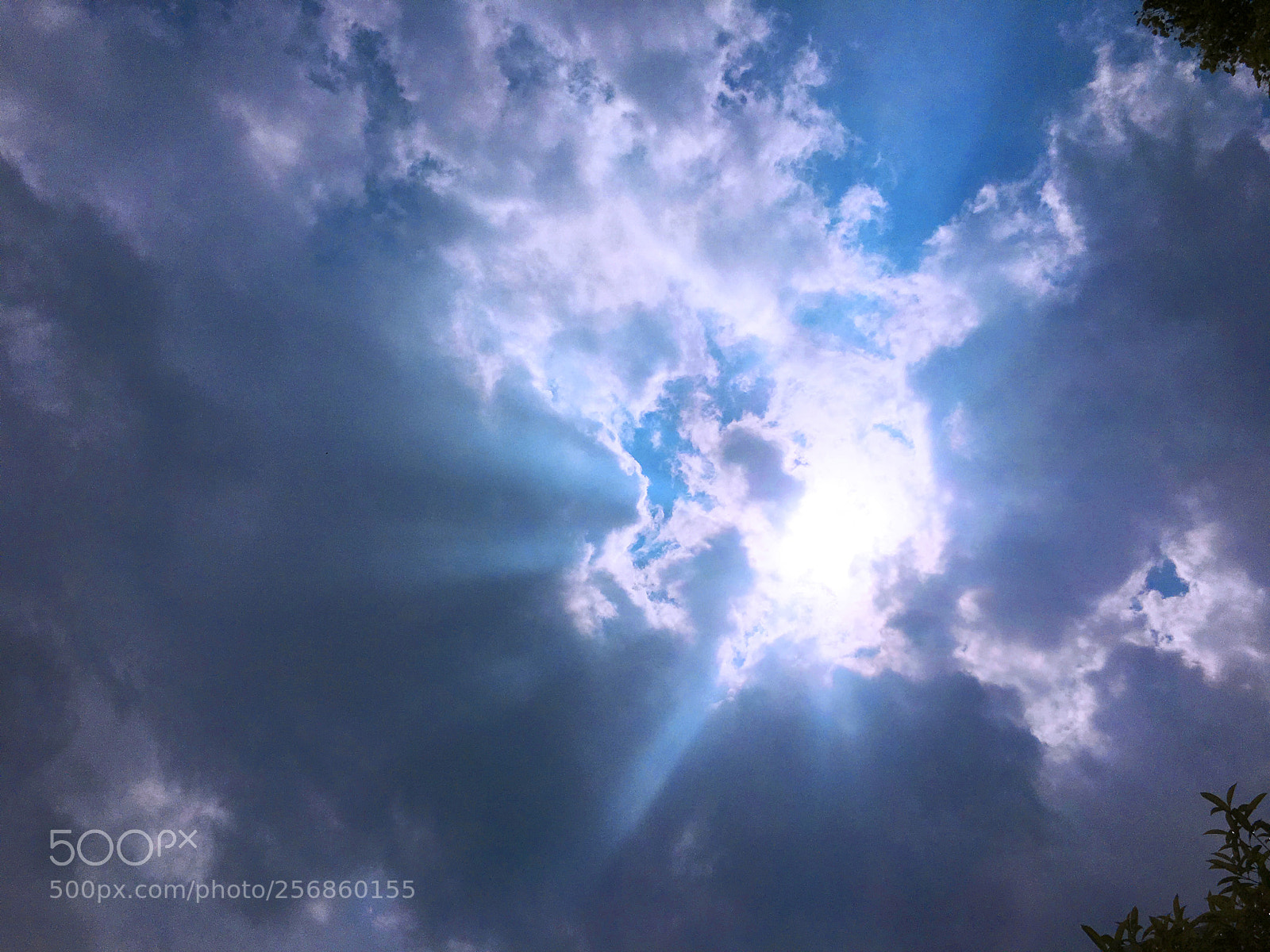 Apple iPhone 6s Plus sample photo. Blue blue sky photography