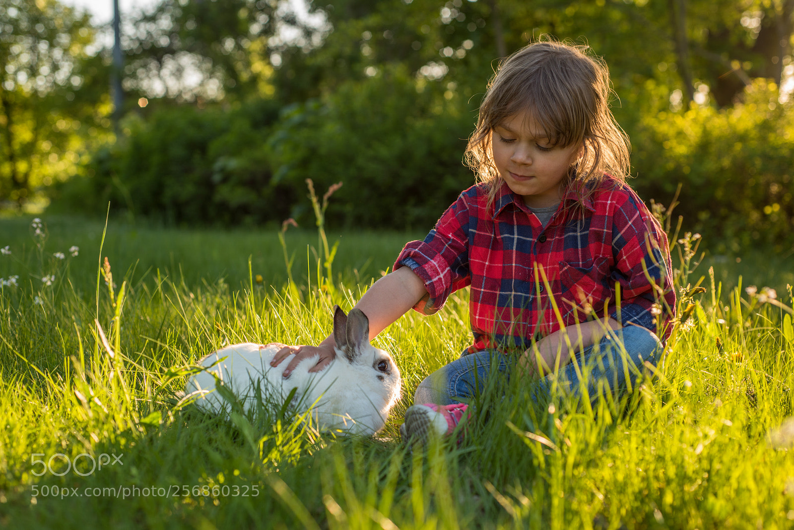 Nikon D810 sample photo. Zosia photography