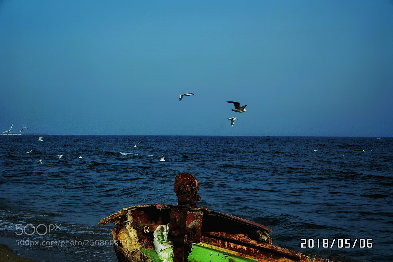 Samsung NX3000 sample photo. Untitled photography