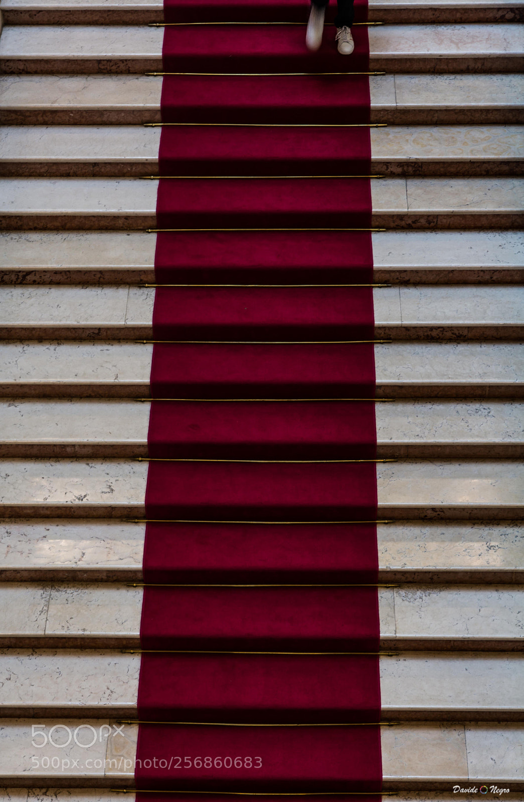 Nikon D7100 sample photo. Piedi photography