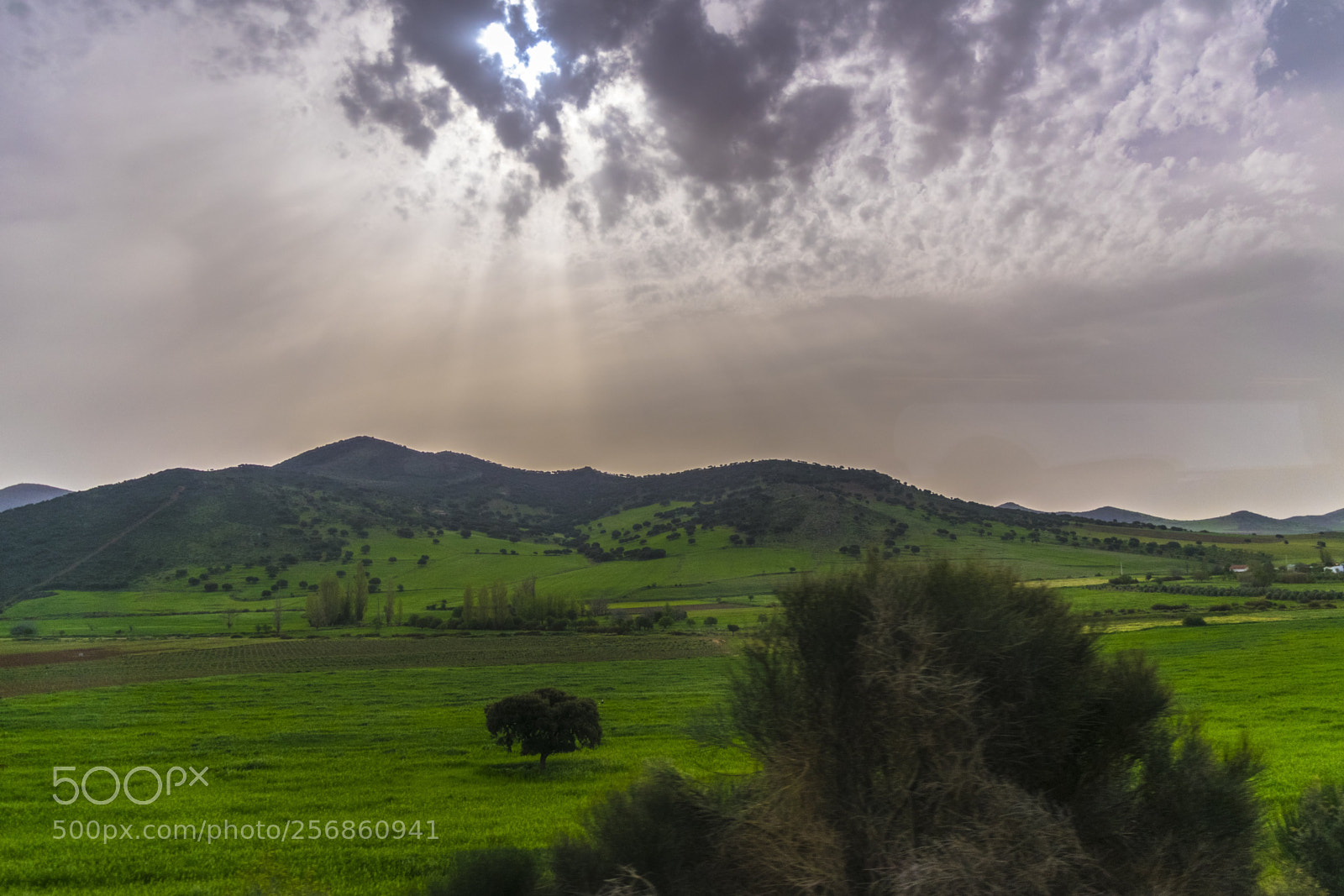 Nikon D3300 sample photo. Verde primavera desde el photography