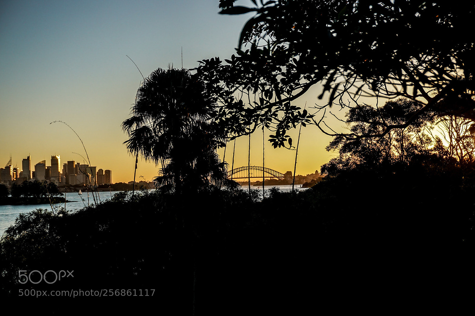 Sony a6000 sample photo. Sydney harbour bridge and photography
