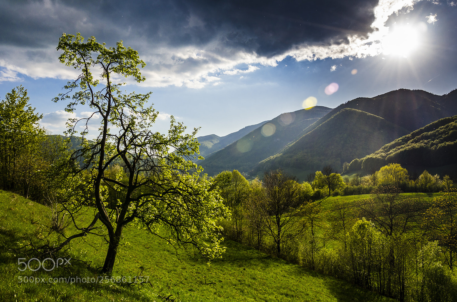 Nikon D7000 sample photo. Sunrays photography