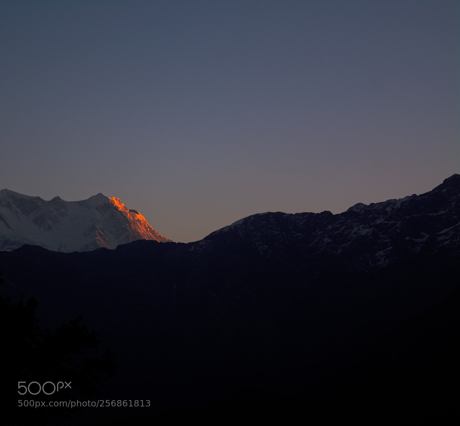 Nikon D5200 sample photo. Greater himalaya photography