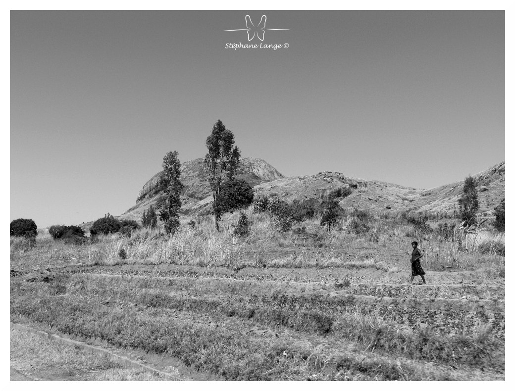 Canon POWERSHOT PRO1 sample photo. Madagascar n°12 photography