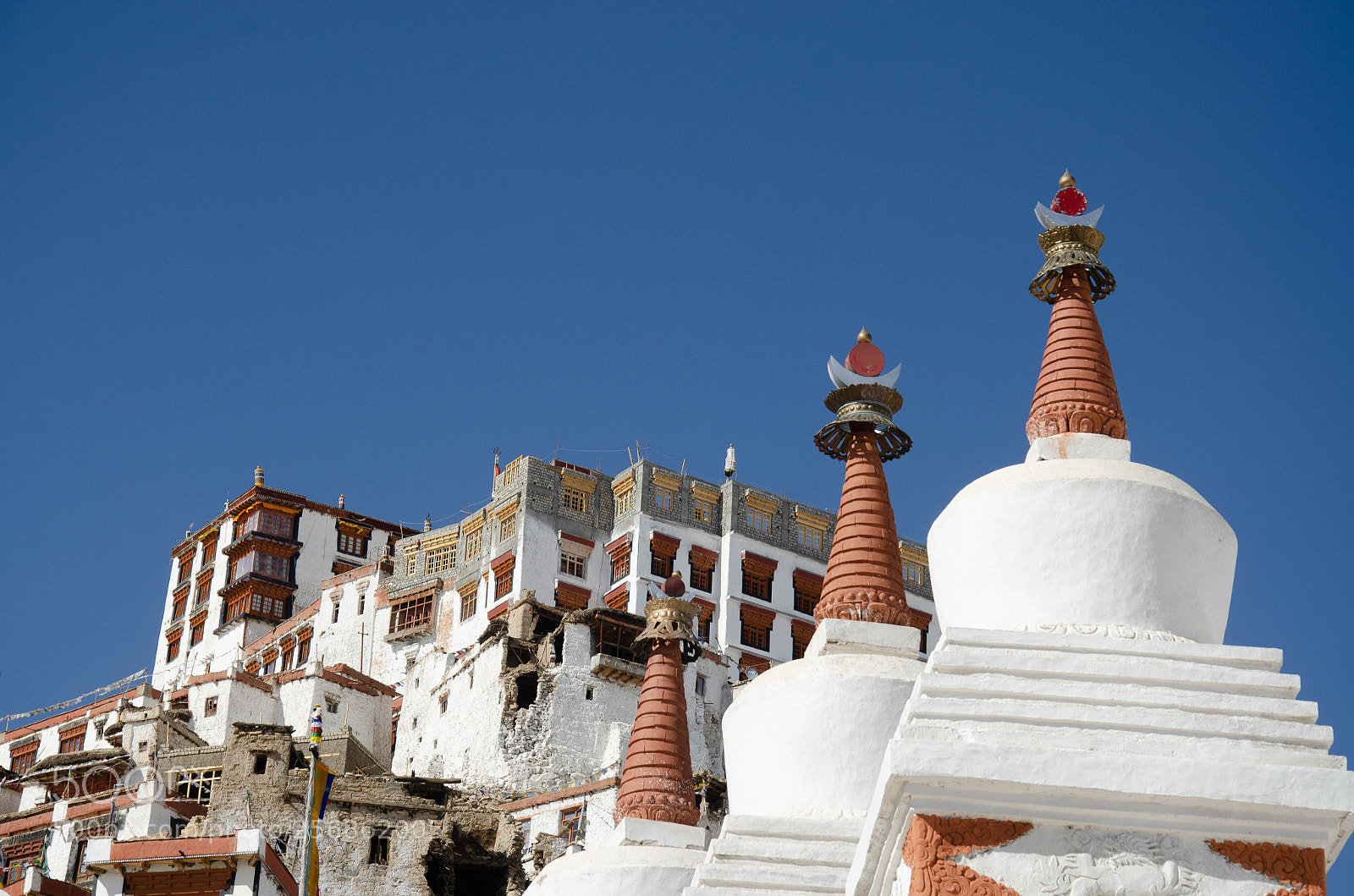 Nikon D7000 sample photo. Ladakh photography