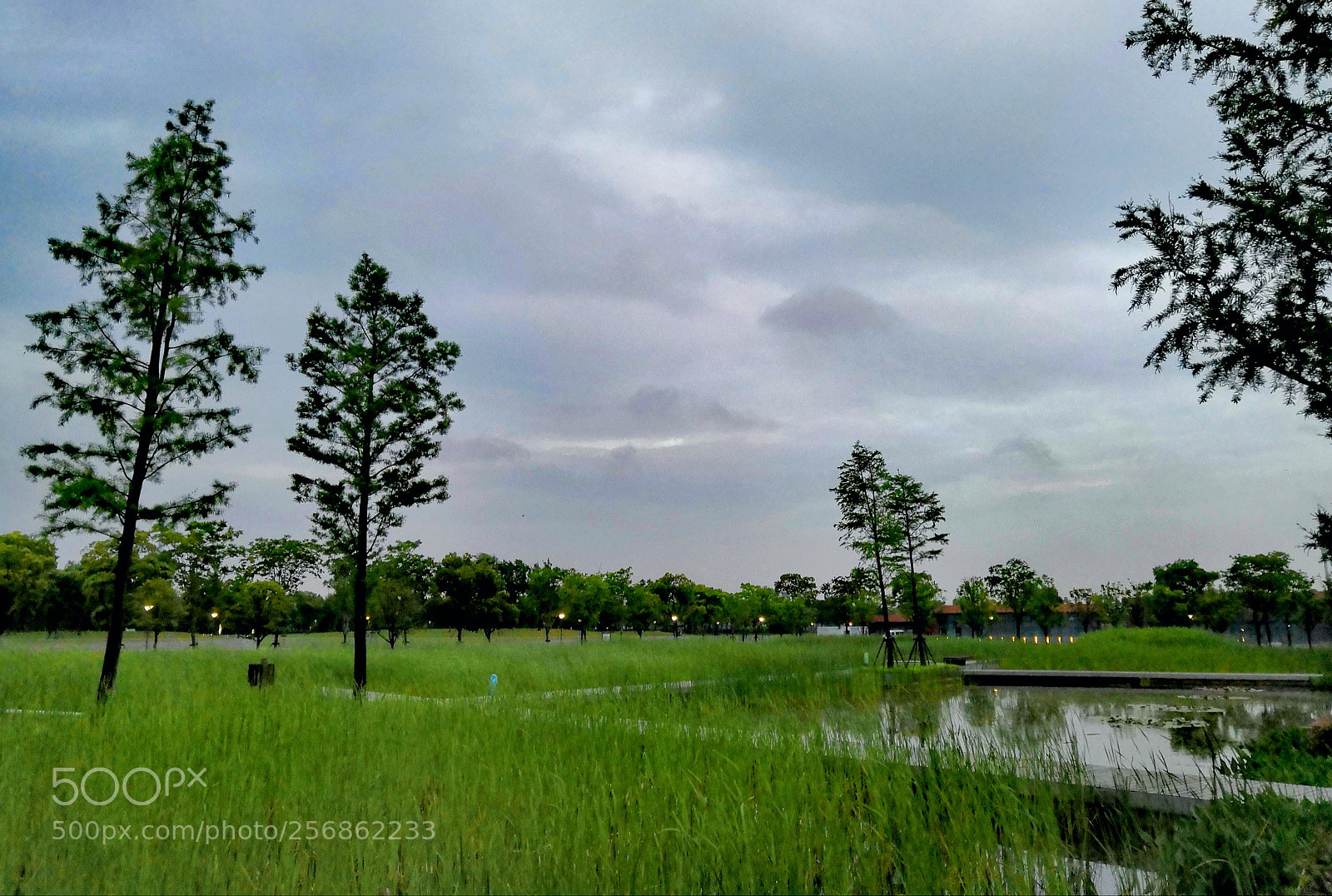 HUAWEI Honor 10 sample photo. Afternoon photography