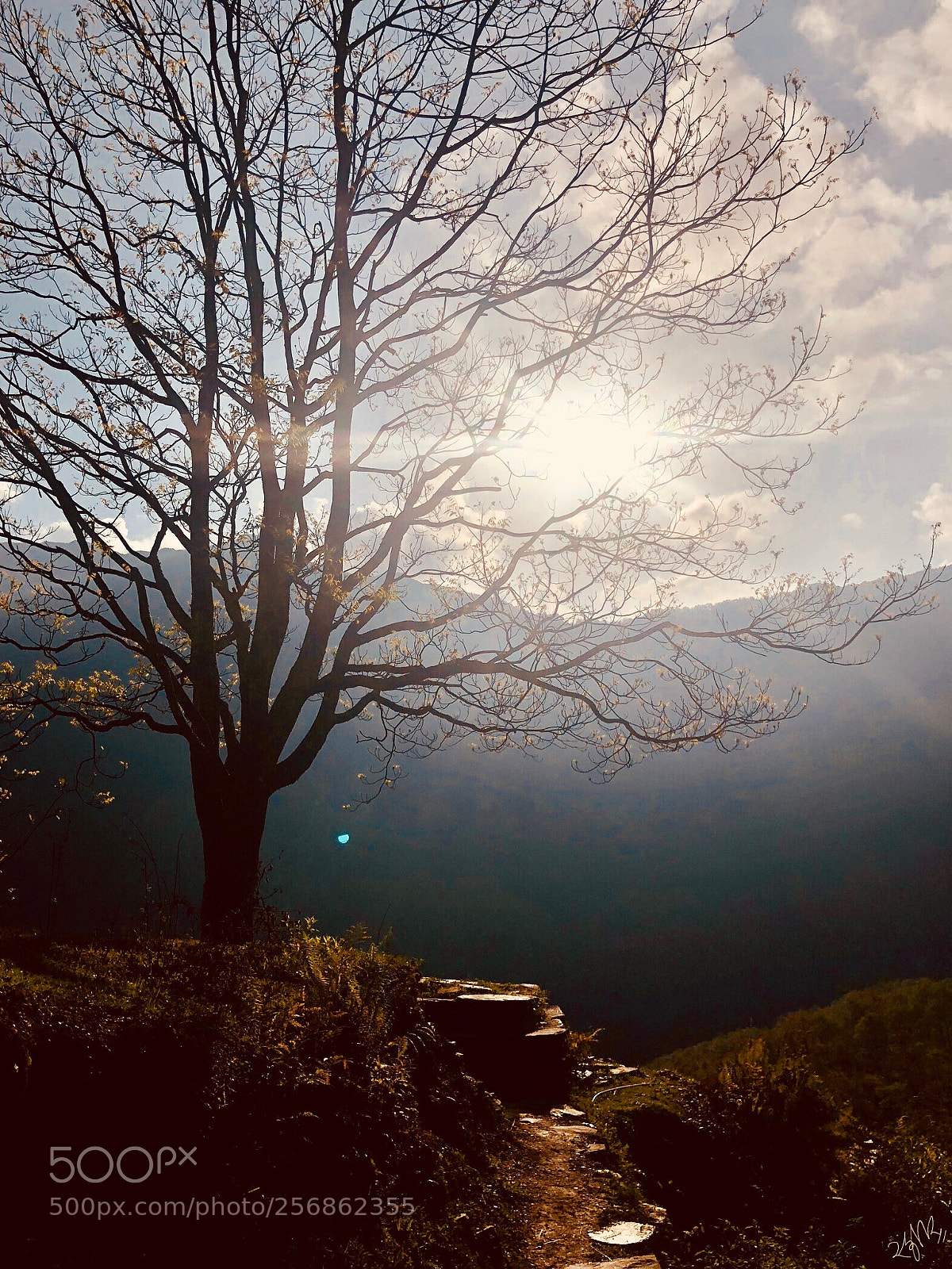 Apple iPhone X sample photo. Sunshine valley photography