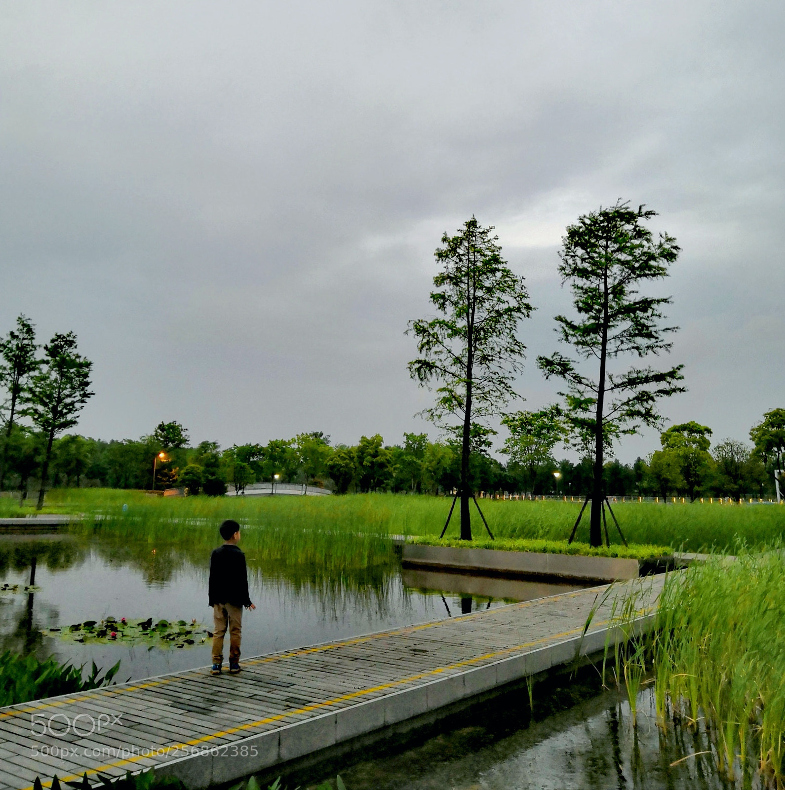 HUAWEI Honor 10 sample photo. Afternoon, 2 photography
