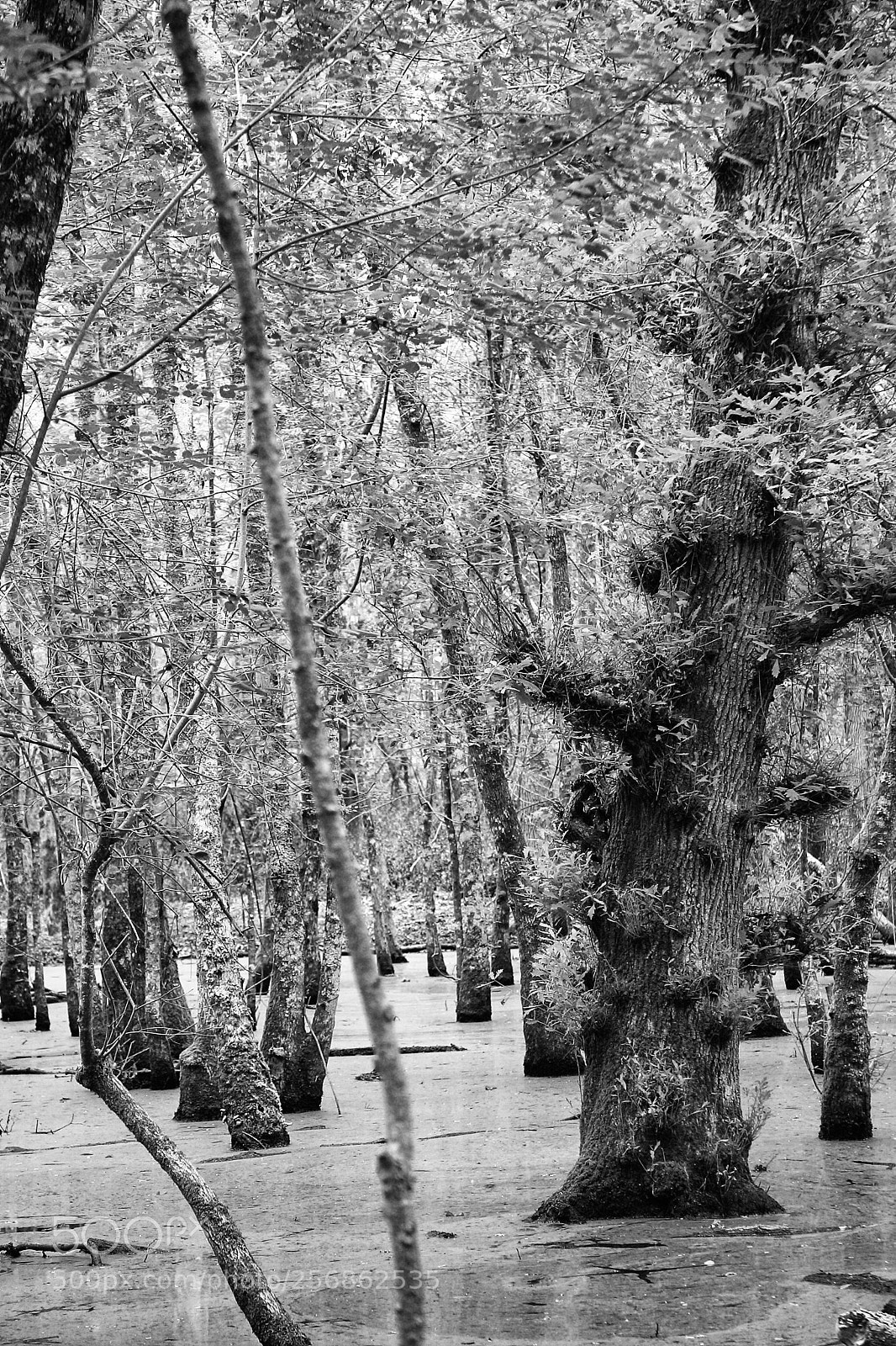 Canon EOS 40D sample photo. Piscine della verdesca photography