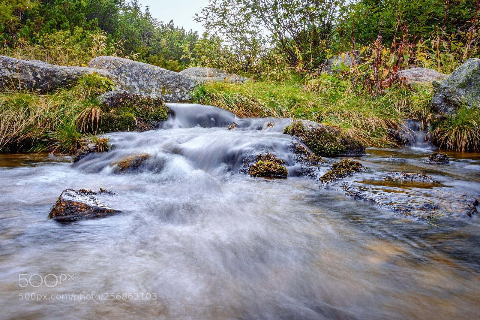 Nikon D7100 sample photo. Stream photography