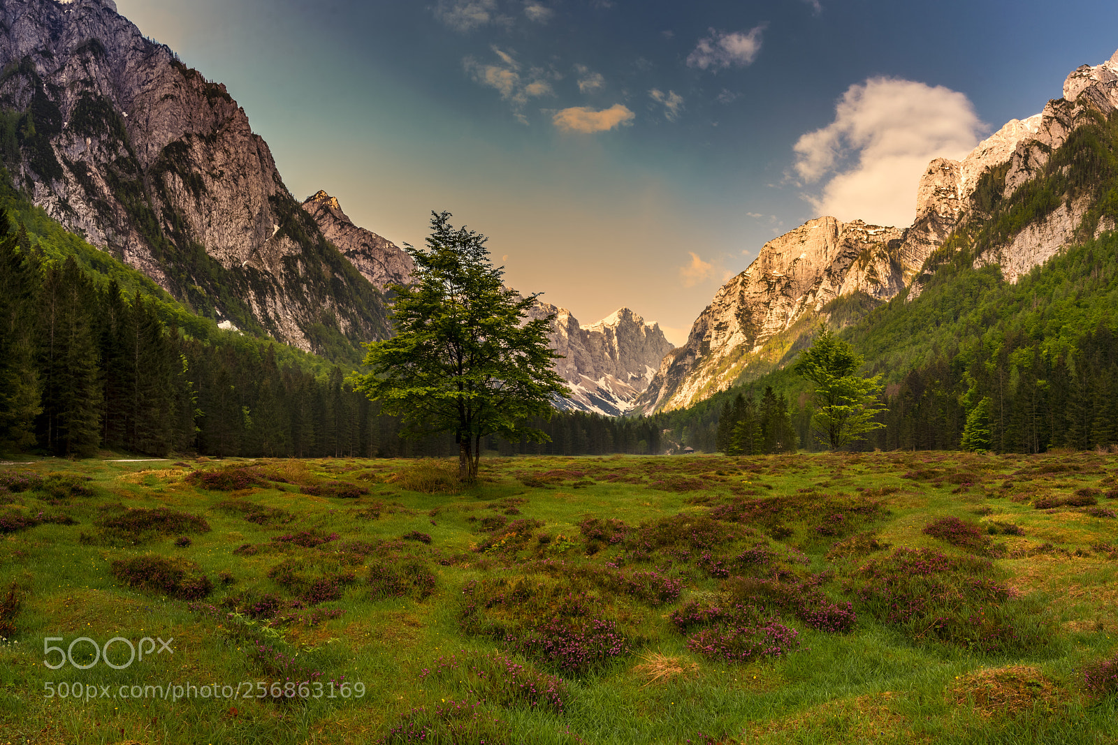 Nikon D7100 sample photo. Krma valley photography